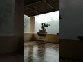 #kokan #rain #mansoon
