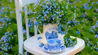 Футаж. Доброе утро! Синие незабудки. Background Good morning! Blue flowers