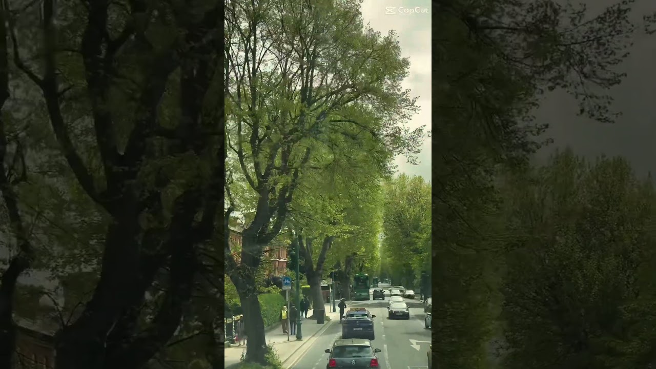 A day in Phoenix and Herbert Park, Dublin, Ireland.