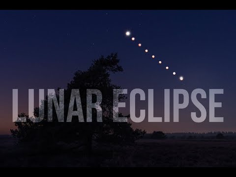 Lunar Eclipse 2019 - Veluwe - Maansverduistering