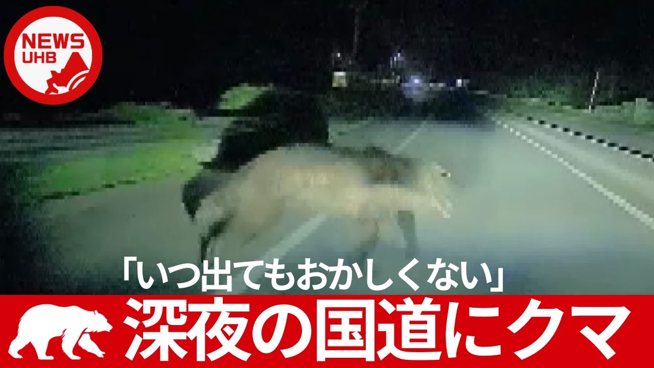 Caution] A car crashes into a brown bear that suddenly appears on