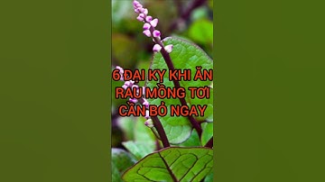6 Đại Kỵ Khi Ăn Rau Mồng Tơi Cần Đặc Biệt Chú Ý #dinhduong #health #suckhoe