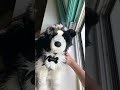So cute!!!!