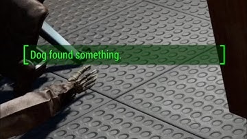 How To Obtain The Cyrolator Early