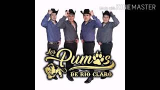 los pumas de río claro - ya llegué de las parrandas