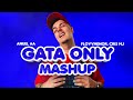 GATA ONLY MASHUP Adrian Benitez Mashup Amanece X Gata Only