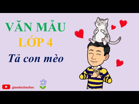 Video Văn mẫu lớp 4 - Tả con mèo - Tả con vật lớp 4 - youtube
