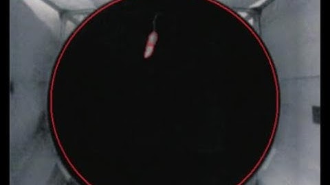 VisuTrack High-end Animal Behavior Analysis System (Water Maze demostration)