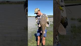 MONSTER CATFISH strike on the catfishpopper