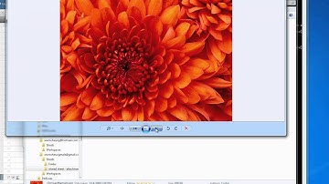 Smartsheet Org Backup Tool