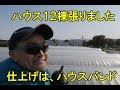 ハウス張りました・仕上げはハウスバンド・2018