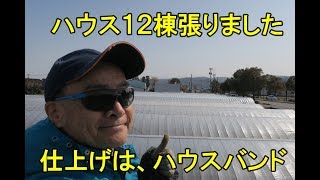 ハウス張りました・仕上げはハウスバンド・2018