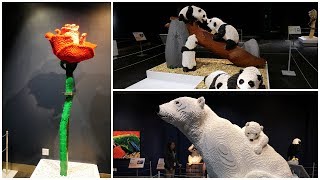 Lego Sculptures - Polar Bear, Panda, Rose, Leopard, Eagle & More! screenshot 4