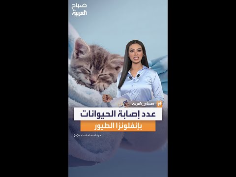 بالأرقام تعرف على عدد إصابة الحيوانات بإنفلونزا الطيور