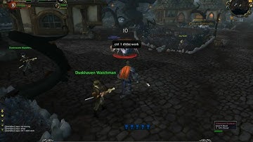 gravity the worgen hunter, p2 pet bar fails