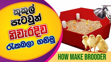 how make  Brooder for chicks,BST Saman,BST Practicl,BIosystems Technology බෘඩරයක් සකස්කරමු