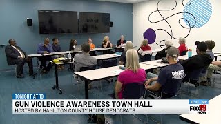 Hamilton County Democrats host gun violence awareness town hall