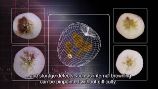 01 GREEFA   a IFA Internal Quality System