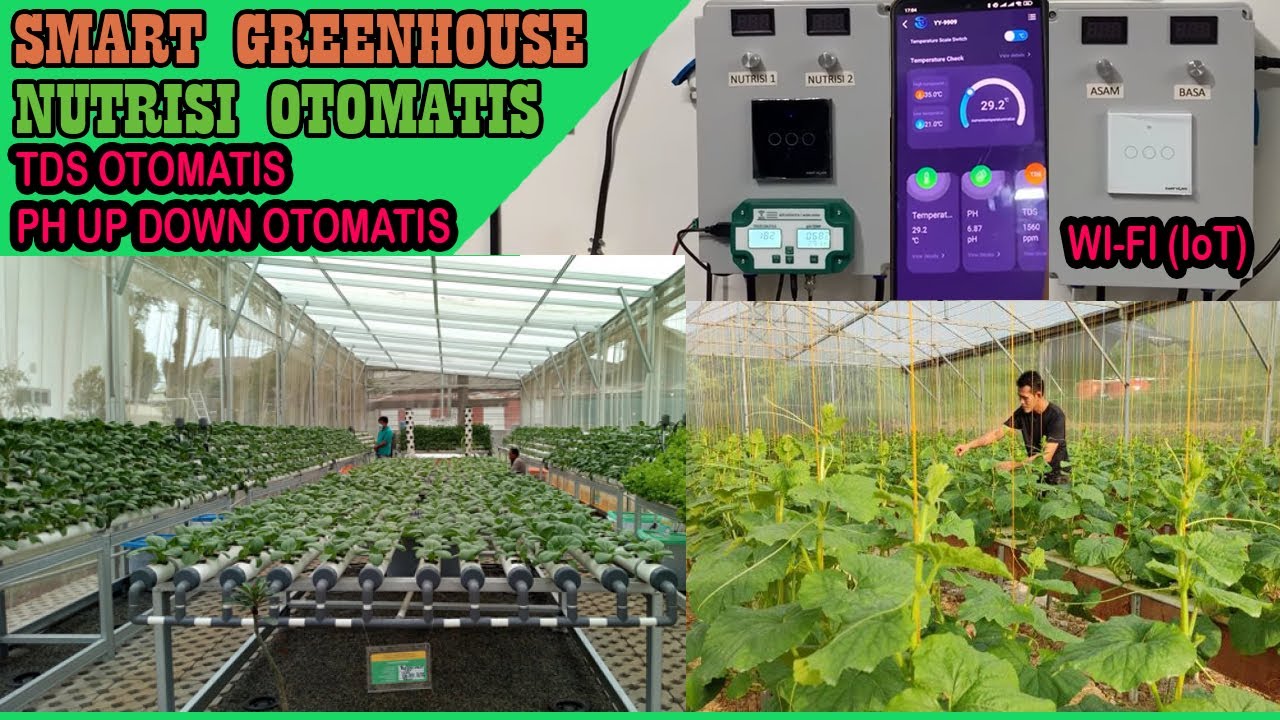 Konsep Sistem Nutrisi Otomatis Untuk Hidroponik dan Drip pada Green House dengan IoT Tuya Smart