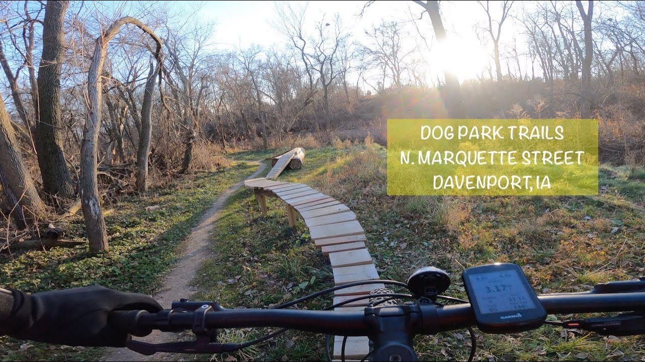 Dog Park Trails (Marquette Davenport) December 2021 YouTube