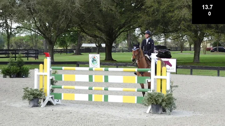 Alyssa Phillips SJ on Oskar at the 2019 Ocala Hors...
