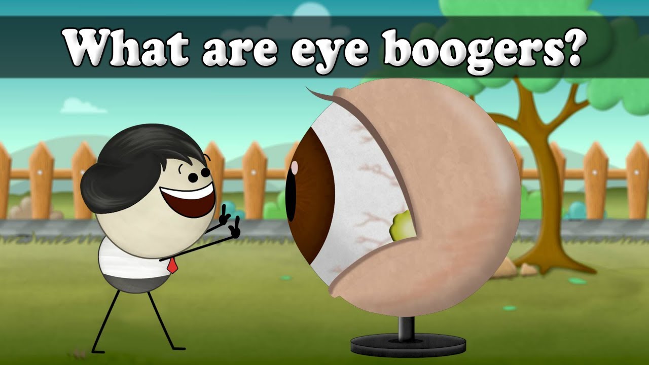 What are eye boogers? aumsum kids science education children