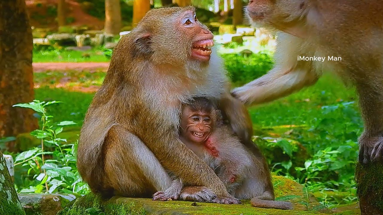 Oops!! What's Guy doing Brianna hugs Briar that hurt on wound like that! What's Brianna telling