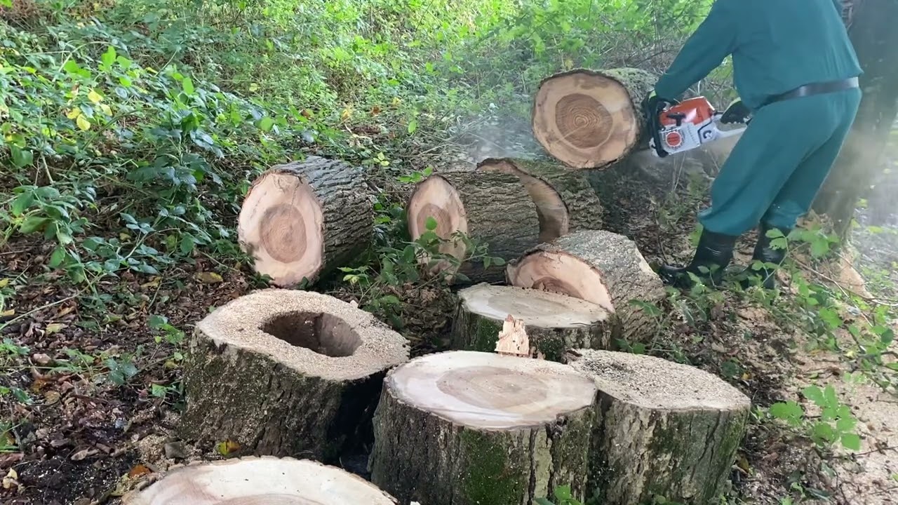 Stihl MS 362 CM(Preparing woods for the winter) part two!✌️