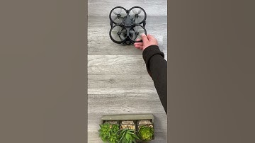 DJI Avata Turtle Mode
