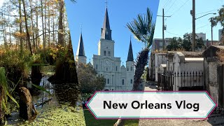 Swamp Tour, Architecture & Halloween | New Orleans Vlog