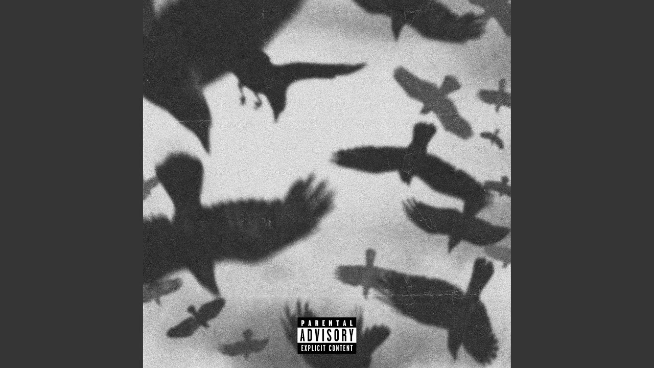 Guarda Bird su YouTube Guarda Bird su YouTube