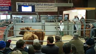 Lot 79 (Harehead W50) - 1,100gns