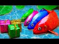 Stop Motion Asmr Amazing Yellow Carp, Catfish, Octopus And Motorbikes -HOT Primitive Cooking - Coco