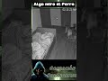#paranormal #fantasma #terror