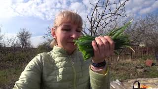 ВЛОГ : ЦЕЛЫЙ ДЕНЬ ПЕРЕВОЗИМ / КИРПИЧ / НОВОЕ ДЕРЕВО