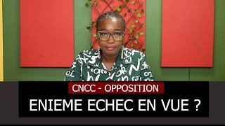 Chronique : CNCC - Opposition :  énième échec en vue ? Echo du Togo