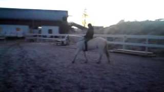 MOV00260.MP4