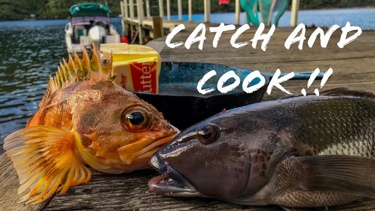 Marlborough Sounds  CATCH and COOK Over An Open Fire!! | Blue Cod | Sea Perch |