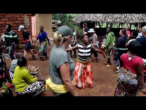 Video: Usambara-violetti: Siementen Eteneminen