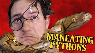 Pythons are EATING people in Indonesia!