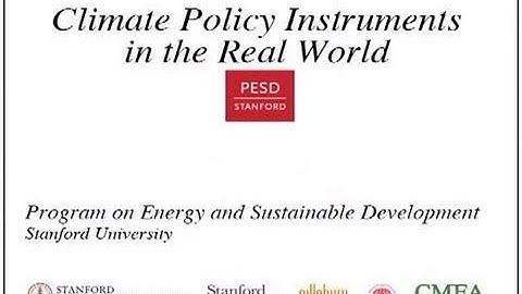 Climate Policy Instruments in the Real World