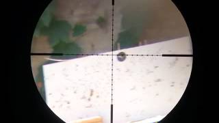 PCP VULCAN X palito Matrix - Gamaairguns