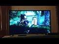 Looking For Scene 