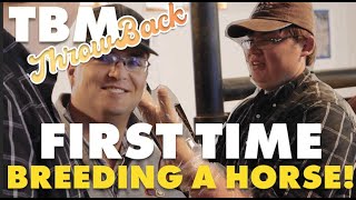 Artificially Inseminating A Horse In Montana