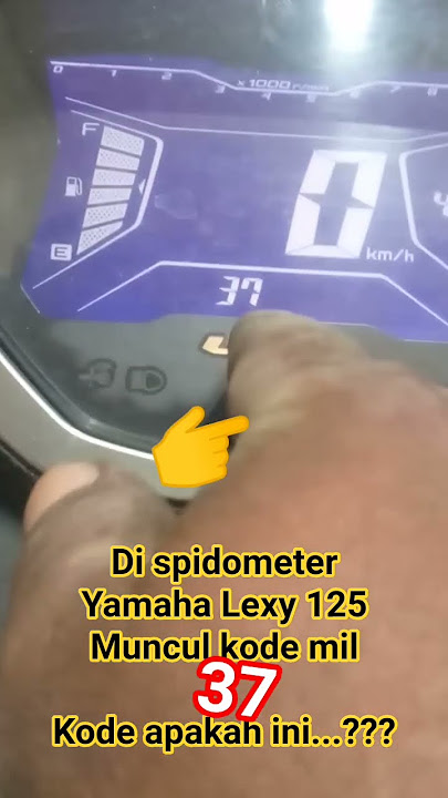 What code is this? The number 37 appears d1#shorts