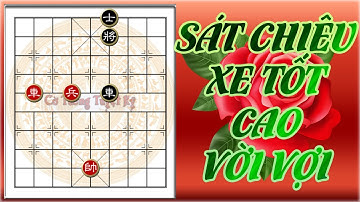 Học chơi cờ tàn - Cờ thế: Nghệ thuật chơi tàn cuộc Xe Tốt