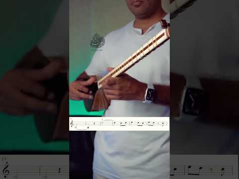 اجرای ساده الهه ناز همراه نت سهتار موسیقی  