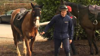 2016 Irish Godolphin Stud And Stable Staff Award - Rider Groom Award Finalists