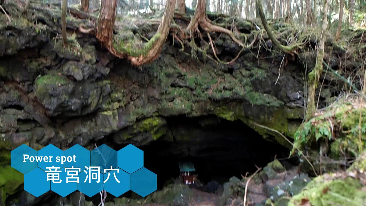 パワースポット超え 富士の樹海と竜宮洞穴を巡るツアーで癒し観光 山梨県 Lineトラベルjp 旅行ガイド パワースポット超え 富士の樹海と竜宮洞穴を巡るツアーで癒し観光 山梨県 Lineトラベルjp 旅行ガイド
