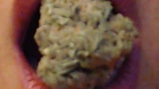 420 AM LIVE SESH-ION 2: ADULT USE AKA RECREATIONAL EDITION